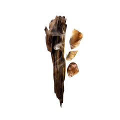 Louis Vuitton ombre nomade 100 ml + Custom Engraved Box