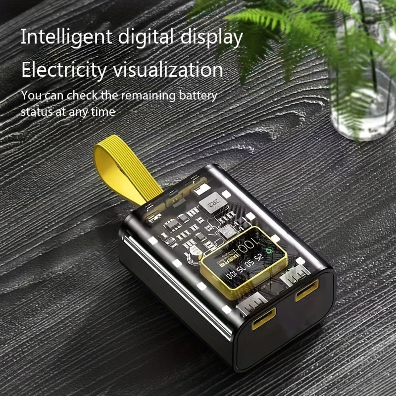 Portable Power Storage Box with LED Display, Micro USB, Type-C